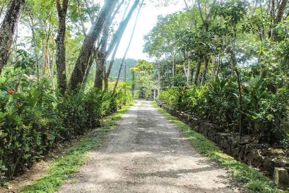 Plantation Villa Kalutara Eksteriør bilde