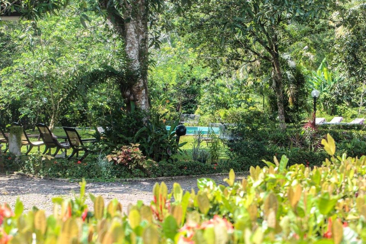 Plantation Villa Kalutara Eksteriør bilde